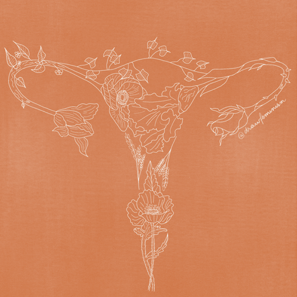 illustration feministe uterus drawfeminism